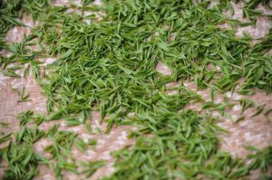 gruene Teeblätter